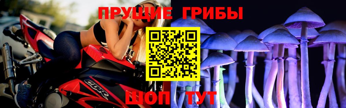 Галлюциногенные грибы MAGIC MUSHROOMS  Вход с VPN  Белая Калитва 